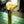 Laden Sie das Bild in den Galerie-Viewer, Zapfhahn-Sponsoring
